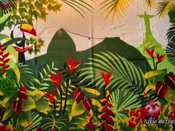 CANGA PLANTA RIO DE JANEIRO